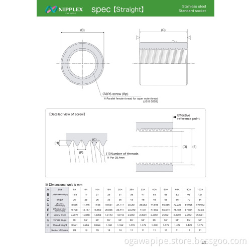Stainless Steel  Standard Socket